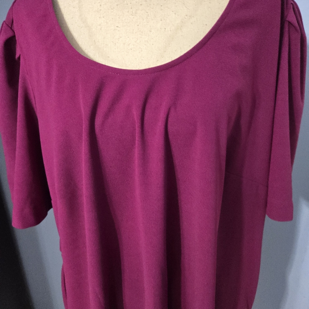 Standards & Practices Size 3x Dress - Picture 2 of 7